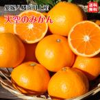 天空のみかん 訳あり (10kg) サイズフリー 愛媛 八幡浜 川上産 農地直送 送料無料 北海道/沖縄/東北は別途送料 宇和海の幸問屋