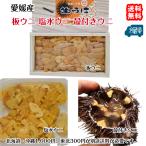  Ehime натуральный морской еж Zanmai ( доска морской еж * соль вода морской еж *. имеется морской еж ) фиолетовый морской еж красный морской еж элемент .. море . бесплатная доставка . из прямая поставка . мир море. . оптовый склад 