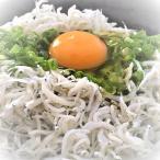  котел .. shirasu есть перевод 1kg (250g×4p) рефрижератор рейс Ehime . рисовое поле . производство . из прямая поставка без добавок / нет окраска бесплатная доставка Hokkaido / Okinawa / Tohoku. доставка отдельно 