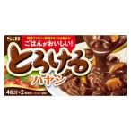 エスビー食品　とろけるハヤシ 140g×10個セット/レトルト　カレー