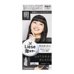 花王 リーゼ 泡カラー 髪色もどし ナチュラルブラック １０８ｍｌ /リーゼ ヘアカラー