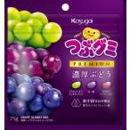 つぶグミＰＲＥＭＩＵＭ濃厚ぶどう