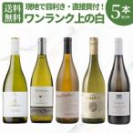ワイン ワインセット 白5本 コク旨 すっきり白ワインセット  wine 白ワイン 飲み比べ デイリーワイン X-25ML12