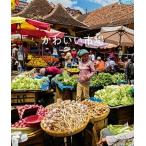 かわいい市場/リイド社/Ａｌａｍｙ　Ｓｔｏｃｋ　Ｐｈｏｔｏ（単行本（ソフトカバー）） 中古