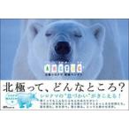北極シロクマ南極ペンギン/大阪書籍/リサ・ヴォ-ト（大型本） 中古