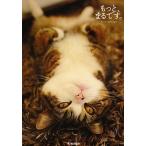  более,..../TOKIMEKIpa желтохвост sing/mugumogu( монография ) б/у 