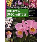  впервые .. . Ran. .. person ... person . хорошо понимать /... . фирма / холм рисовое поле .( большой книга@) б/у 