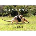 mi Nami ko муравьед / East * Press / Matsubara стол 2 ( монография ( soft покрытие )) б/у 