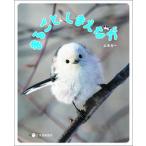 まるごとしまえなが/北海道新聞社/山本光一（単行本（ソフトカバー）） 中古