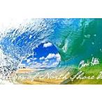 Waves of North Shore/ parco выпускать / Clarke * little ( большой книга@) б/у 