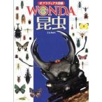 昆虫/ポプラ社/寺山守（大型本） 中古