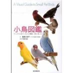小鳥図鑑（単行本） 中古