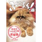 ふ-ちゃん！/左右社/牧野直樹（単行本） 中古
