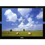 ＳＵＭＭＥＲ　ｉｎ　ｈｏｋｋａｉｄｏ/青菁社/高橋真澄（単行本） 中古