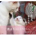 ネコへの恋文/日経ＢＰ/岩合光昭（単行本） 中古