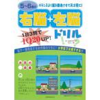 5~6 лет. правый .+ левый . дрель 1 день 3..IQ 20 up! /.... ../ Ichikawa .( монография ) б/у 