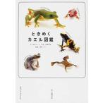  время .. лягушка иллюстрированная книга / гора ... фирма / высота гора biki( монография ( soft покрытие )) б/у 