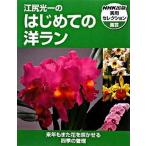 江尻光一のはじめての洋ラン/ＮＨＫ出版/江尻光一（単行本（ソフトカバー）） 中古
