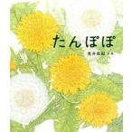 たんぽぽ   /金の星社/荒井真紀 (大型本) 中古