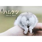  родоначальник ветчина нет / иметь . книжный магазин новый фирма /.....( монография ) б/у 