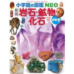〔新版〕岩石・鉱物・化石 DVDつき（大型本） 中古