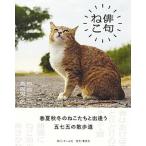 俳句ねこ/ホ-ム社（千代田区）/沖昌之（単行本） 中古
