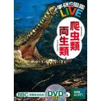 爬虫類・両生類/Ｇａｋｋｅｎ/森哲（大型本） 中古