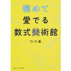 眺めて愛でる数式美術館/ＫＡＤＯＫＡＷＡ/竹内薫（文庫） 中古