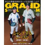  Grand *s Ram якорь Baseball официальный гид 53/ Shogakukan Inc. / ширина хвост . один ( Mucc ) б/у 
