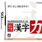 みんなのDSゼミナール カンペキ漢字力/DS/NTR-P-AMZJ/A 全年齢対象 中古