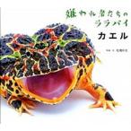 カエル 嫌われ者たちのララバイ/グラフィック社/松橋利光（単行本） 中古