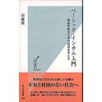 ベ-シック・インカム入門 無条件給付の基本所得を考える/光文社/山森亮（新書） 中古