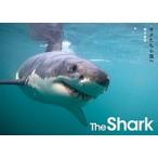 Ｔｈｅ　Ｓｈａｒｋ サメたちの海へ/誠文堂新光社/鍵井靖章（単行本） 中古