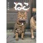 ねこ/クレヴィス/岩合光昭（文庫） 中古