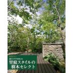  лес. замечательно . приятный . двор стиль. дерево select /. земля выпускать ( большой книга@) б/у 