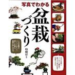  фотография . понимать бонсай .../ запад восток фирма / час мыс толщина ( монография ) б/у 