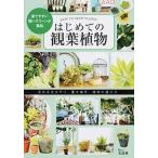 はじめての観葉植物/宝島社（大型本） 中古