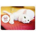 ねこ禅 人生がふニャっとなごむ５０の教え/ＫＡＤＯＫＡＷＡ/菅原研州（単行本） 中古