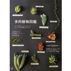  суккулентное растение иллюстрированная книга .... симпатичный, немного Glo tesk, интересный . много мясо / Nitto документ . главный офис / Matsuyama прекрасный .( монография ( soft покрытие )) б/у 