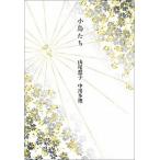 小鳥たち/ステュディオ・パラボリカ/山尾悠子（単行本） 中古
