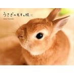 うさぎのモキュ様/パイインタ-ナショナル/ＩｍａｉＴｏｍｏｋｏ（単行本（ソフトカバー）） 中古