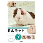 モルモット/誠文堂新光社/大崎典子（単行本） 中古
