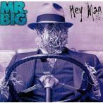 HEYMAN/MR．BIG 中古
