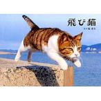 飛び猫/ＫＡＤＯＫＡＷＡ/五十嵐健太（単行本） 中古