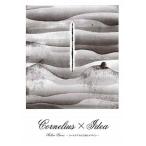 Cornelius×Idea:Mellow Waves コーネリアスの音楽とデザイン/誠文堂新光社/アイデア編集部(単行本) 中古