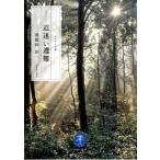 ドキュメント道迷い遭難/山と渓谷社/羽根田治（文庫） 中古