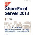 hi. глаз . понимать SharePoint Server 2013/ Nikkei BP/ Yamazaki love ( монография ) б/у 