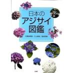  японский гортензия иллюстрированная книга / Kashiwa книжный магазин / река . рисовое поле ..( монография ) б/у 