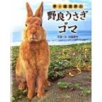 茅ケ崎海岸の野良うさぎゴマ/宝島社/内藤雅光（単行本） 中古