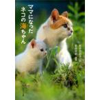 ママになったネコの海ちゃん/ポプラ社/岩合日出子（文庫） 中古